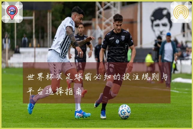 世界杯买足球前必知的投注规则与平台选择指南