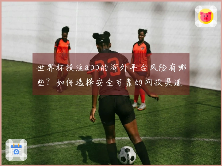 世界杯投注app的海外平台风险有哪些？如何选择安全可靠的网投渠道？