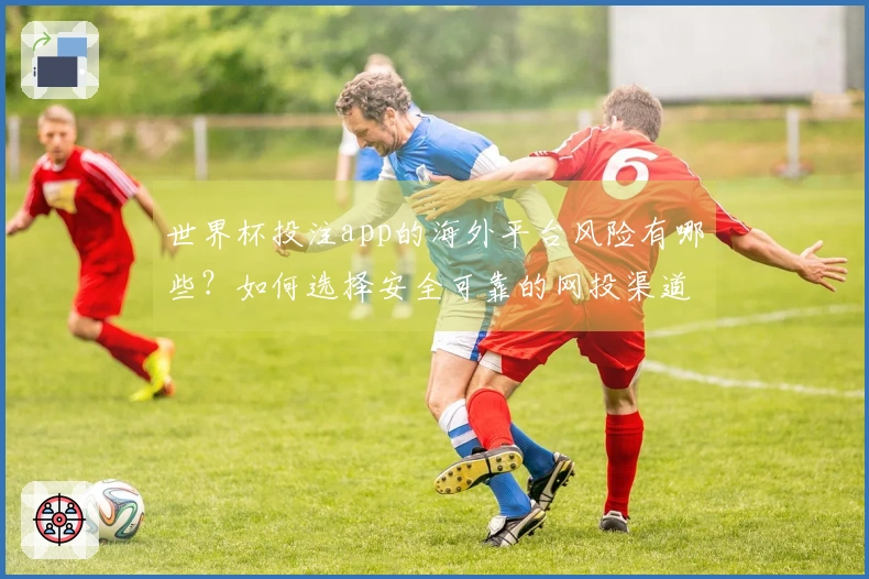 世界杯投注app的海外平台风险有哪些？如何选择安全可靠的网投渠道？