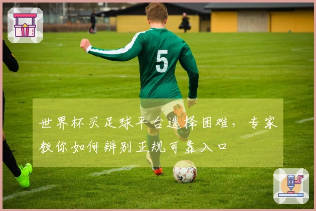 世界杯买足球平台选择困难，专家教你如何辨别正规可靠入口