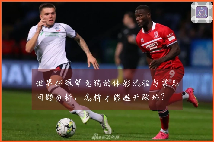 世界杯冠军竞猜的体彩流程与常见问题分析，怎样才能避开踩坑？