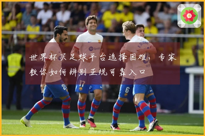世界杯买足球平台选择困难，专家教你如何辨别正规可靠入口